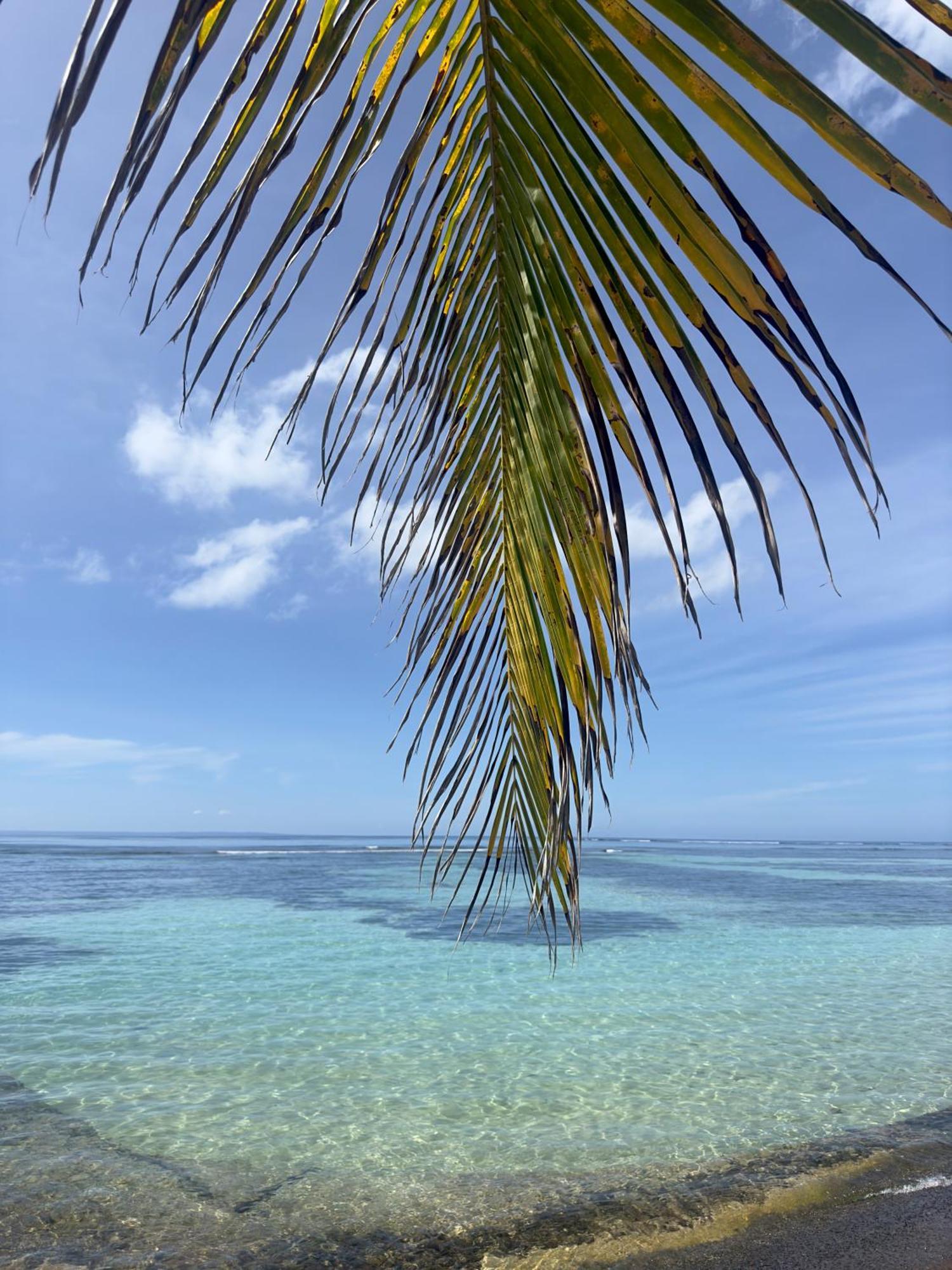 Unique : Pieds Dans L'Eau Face Au Lagon Sainte-Anne  Zewnętrze zdjęcie